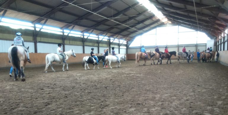 Die 6e auf dem Reiterhof